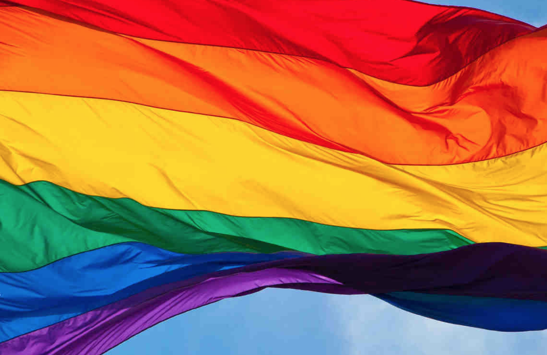 Omofobia, Pro Vita & Famiglia: “La repressione è già cominciata” 1